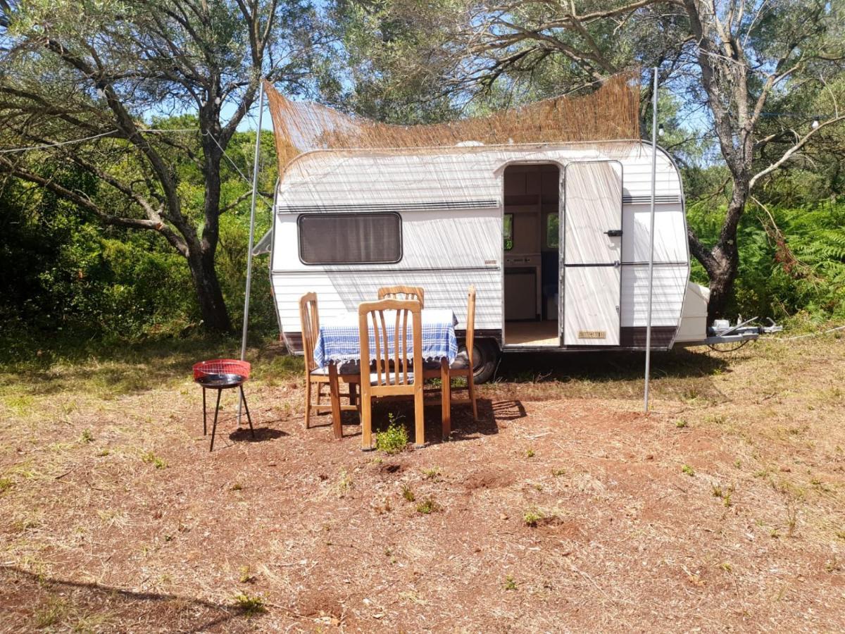 Hotel Aquariumi Jale Camping Zewnętrze zdjęcie